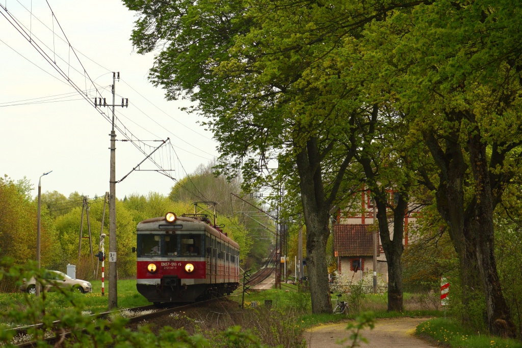 Foto nr: 1446