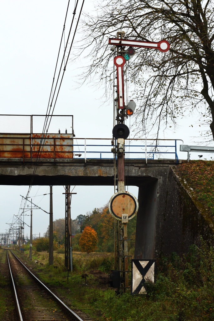 Foto nr: 2024