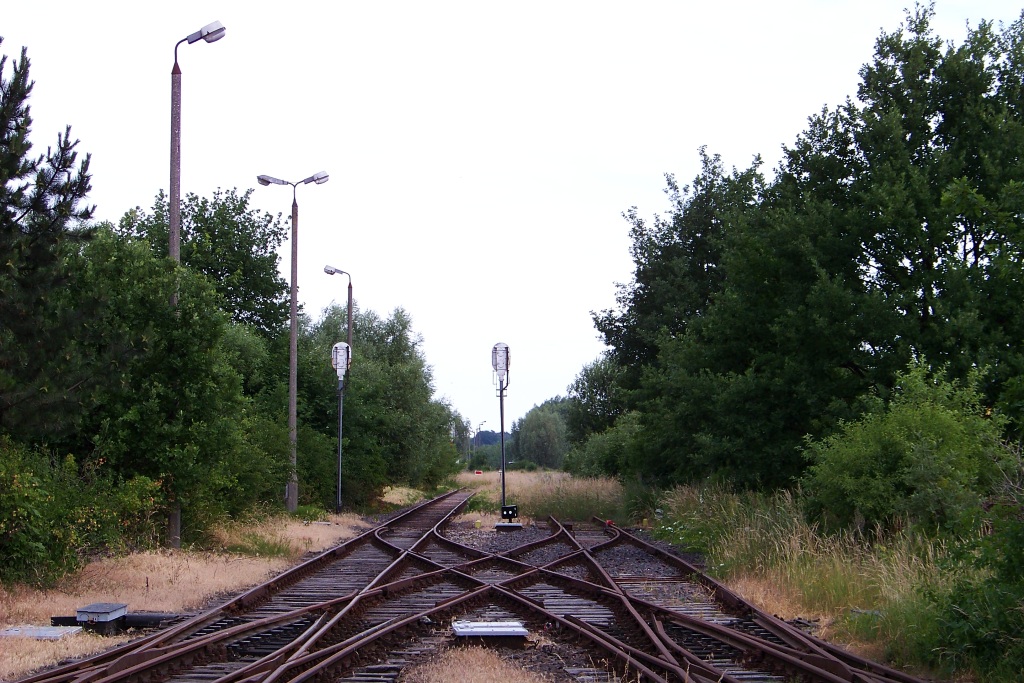 Foto nr: 2809