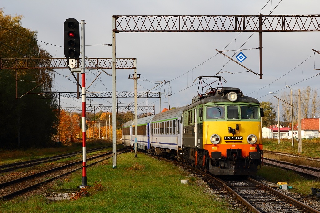 Foto nr: 5533